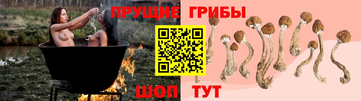 Южноуральск  Псилоцибиновые грибы Psilocybe  Вход с VPN 